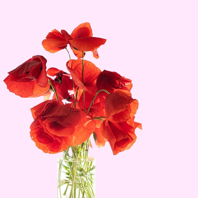 home-header-1-1-1