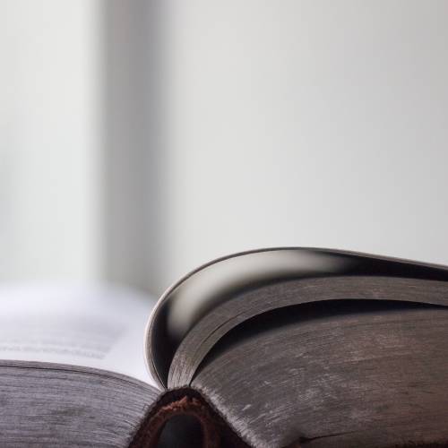 blog5-img3-1