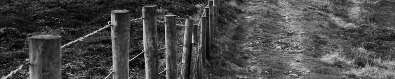 pics02