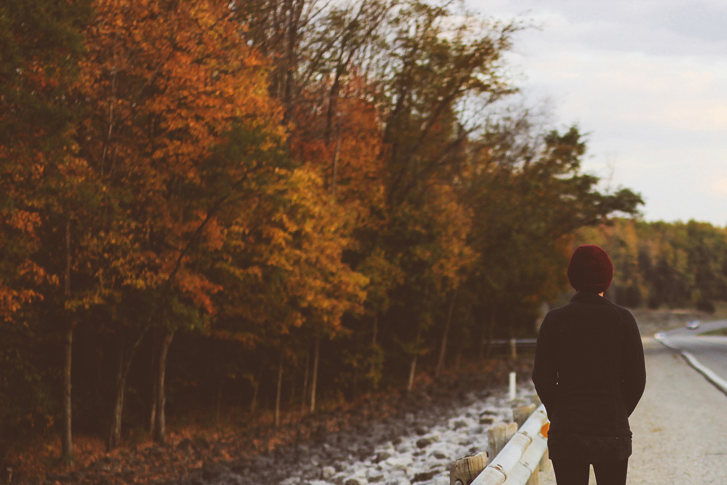 banner5